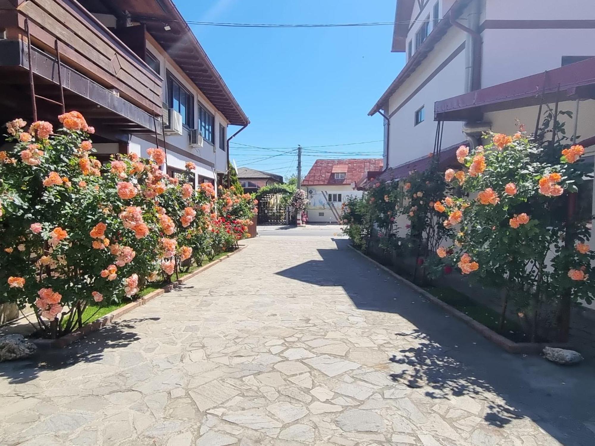 Casa Luca Hotell Vama Veche Exteriör bild